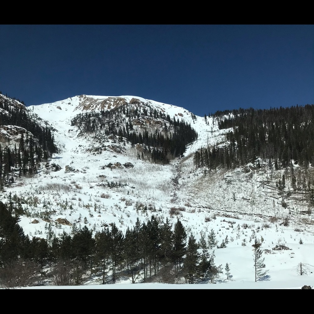 Meet your Posher, Judy or harold